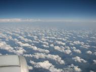 Васильки з panoramio.com