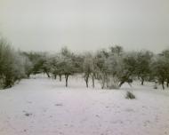 Бабин-Зарічний з panoramio.com