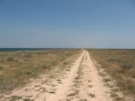 Дмитрівка - Останні фото