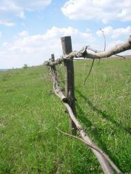 Залісся з panoramio.com