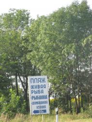 Вишнева з panoramio.com