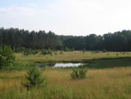 Вишевичі з panoramio.com