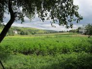 Подусільна з panoramio.com