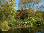 Івачів Горішній з panoramio.com