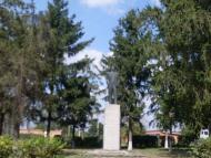 Степанівка з panoramio.com