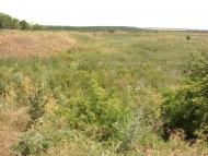 Новий Донбас з panoramio.com