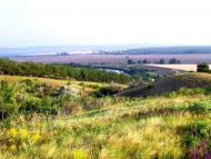 Заградівка з panoramio.com