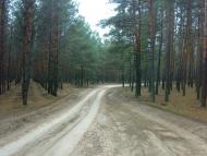 Придонецьке з panoramio.com