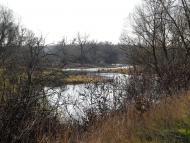 Новомутин з panoramio.com