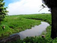 Сокіл з panoramio.com