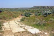 Приозерне з panoramio.com
