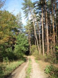 Вільшанка з panoramio.com