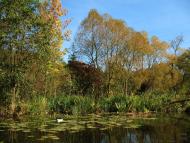 Івачів Горішній з panoramio.com