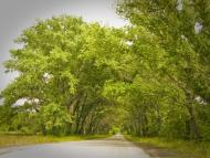 Суходільськ з panoramio.com