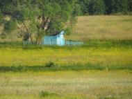 Березина з panoramio.com