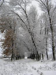 Довжик з panoramio.com