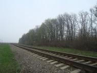 Грибенинка з panoramio.com