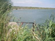 Рисове з panoramio.com