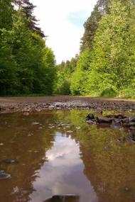 Верхутка з panoramio.com