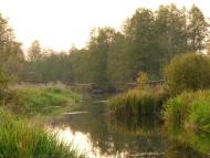 Крупчатка з panoramio.com