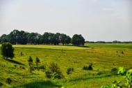 Перше Травня з panoramio.com