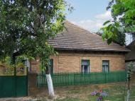 Tabaky - Latest photos