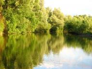 Котоване з panoramio.com