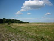 Майорщина - Останні фото