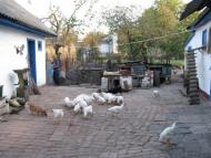 Піщане з panoramio.com