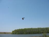 Красненьке з panoramio.com