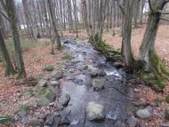 Синяк з panoramio.com