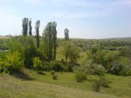 Маложенівка з panoramio.com
