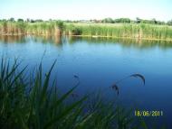 Штормове з panoramio.com