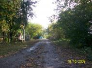 Вовчок з panoramio.com