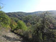 Міжріччя з panoramio.com