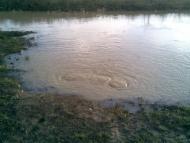 Ботар - Последние фото