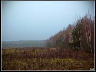 Три Копці з panoramio.com