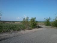 Українське - Останні фото