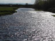 Котоване з panoramio.com