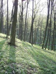 Шкарівка з panoramio.com - Шкарівка