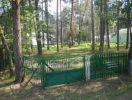 Дубняки з panoramio.com