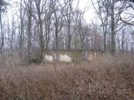 Залізняк з panoramio.com