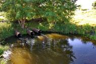 Ямполівка з panoramio.com