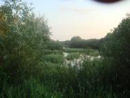 Куликовичі з panoramio.com