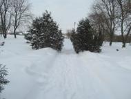 Жовтневе з panoramio.com