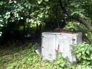 Княже з panoramio.com