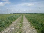 Черепова з panoramio.com