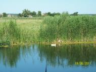 Штормове з panoramio.com