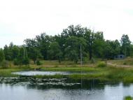 Переброди з panoramio.com