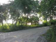 Вишнева з panoramio.com